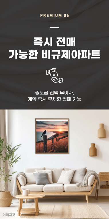 프리미엄 06. 비규제지역 혜택