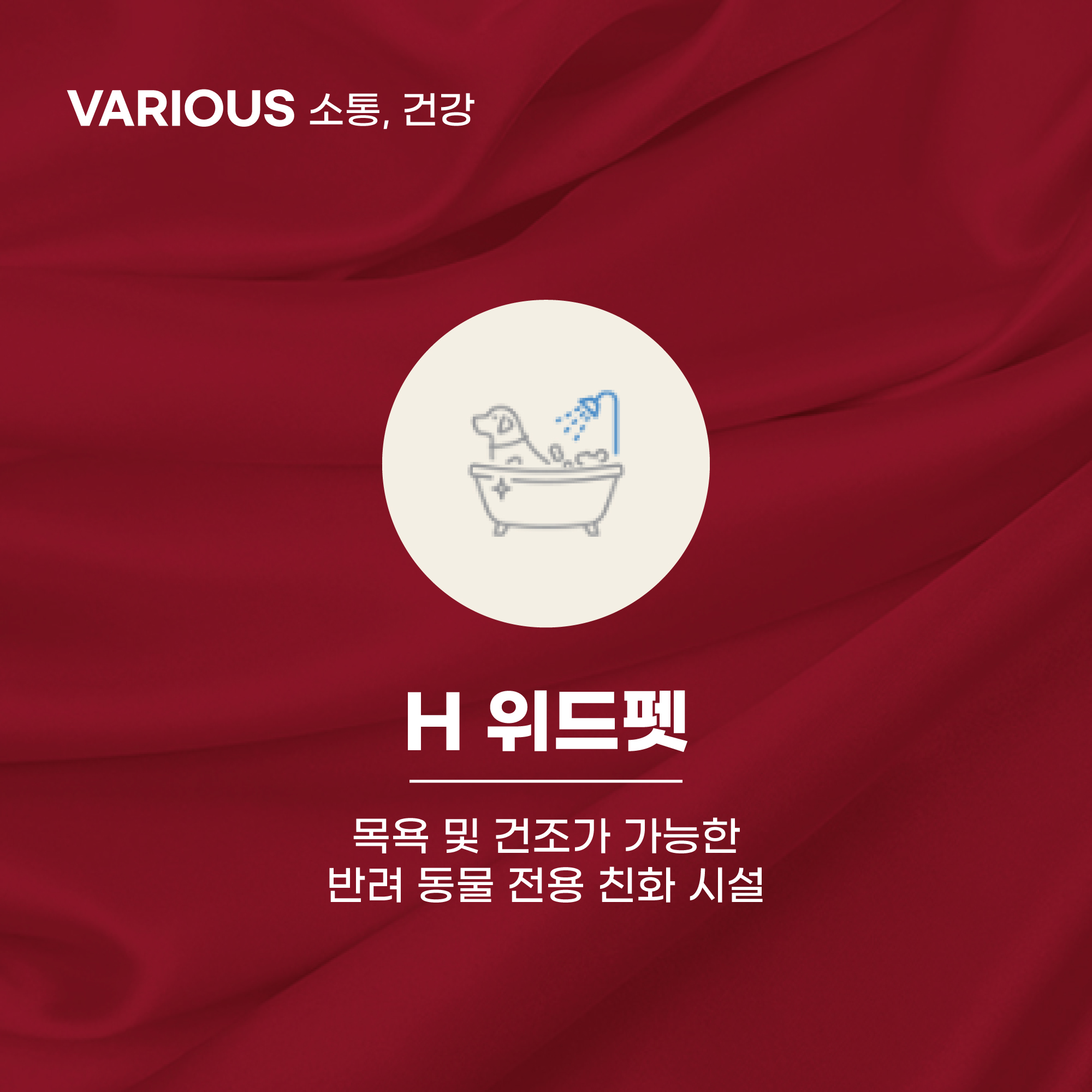 H 위드펫